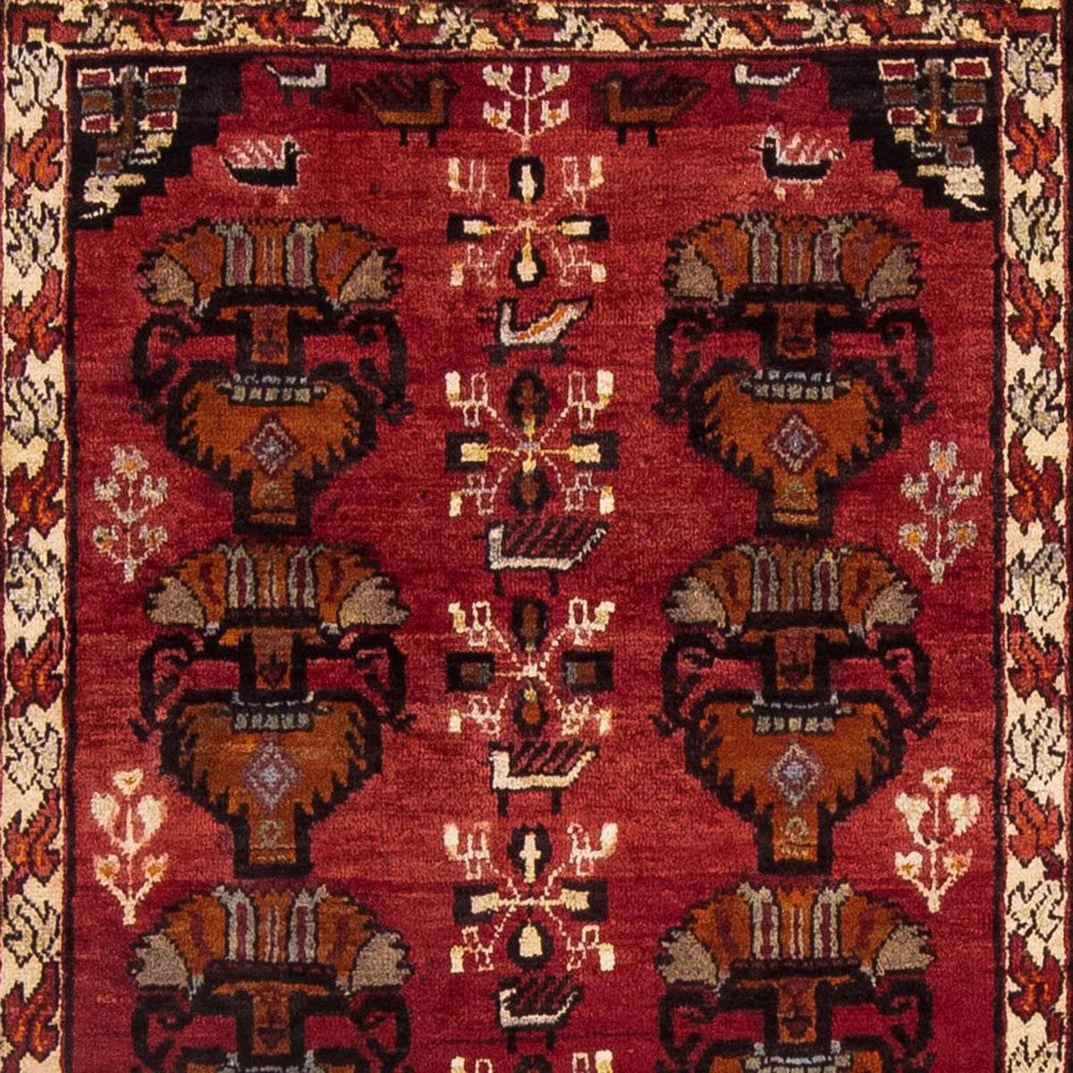 Tappeto corsia Tappeto Belutsch - 181 x 107 cm - rosso
