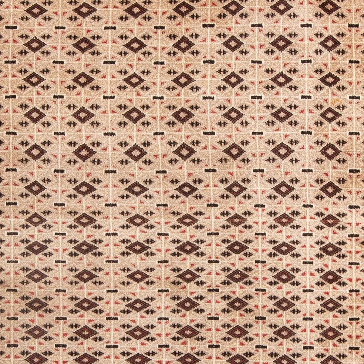 Tappeto Belutsch - 181 x 134 cm - beige