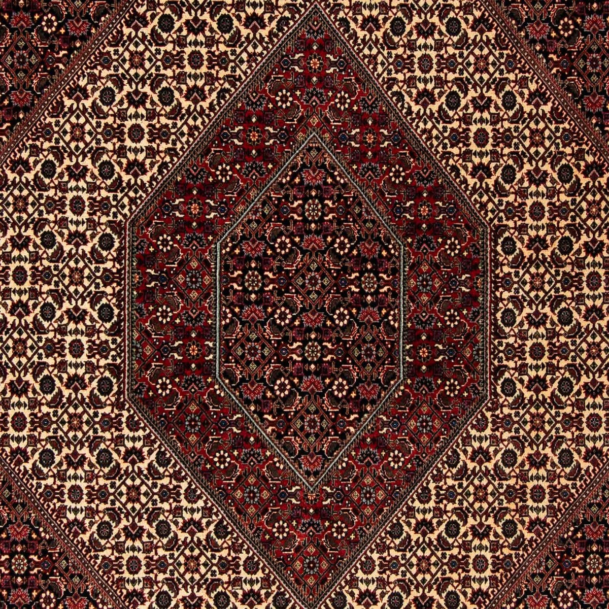 Tappeto Persero - Bidjar - 248 x 202 cm - rosso scuro