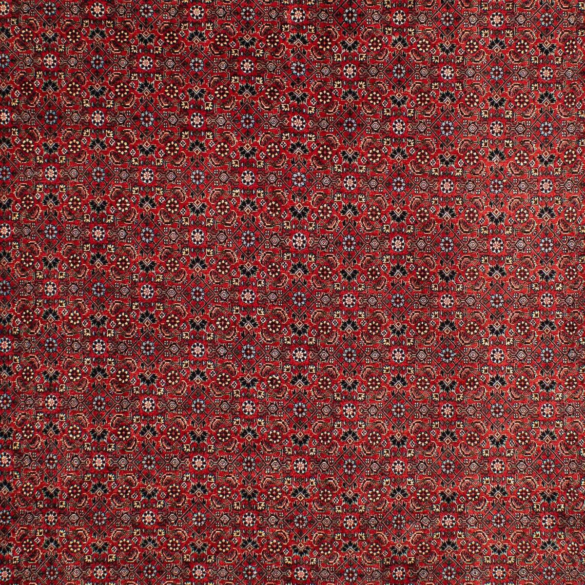 Tappeto Persero - Bidjar - 295 x 203 cm - rosso scuro