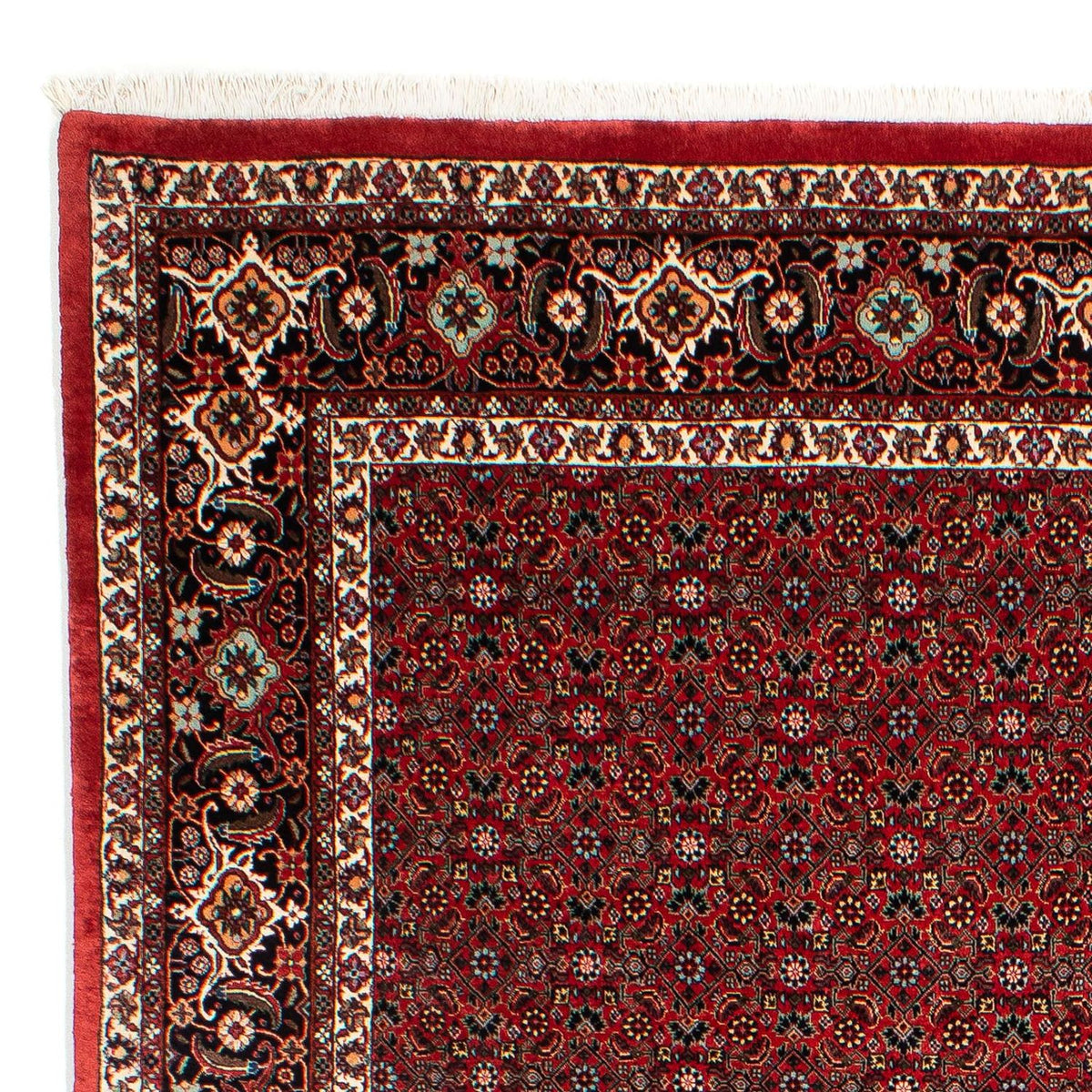 Tappeto Persero - Bidjar - 295 x 203 cm - rosso scuro