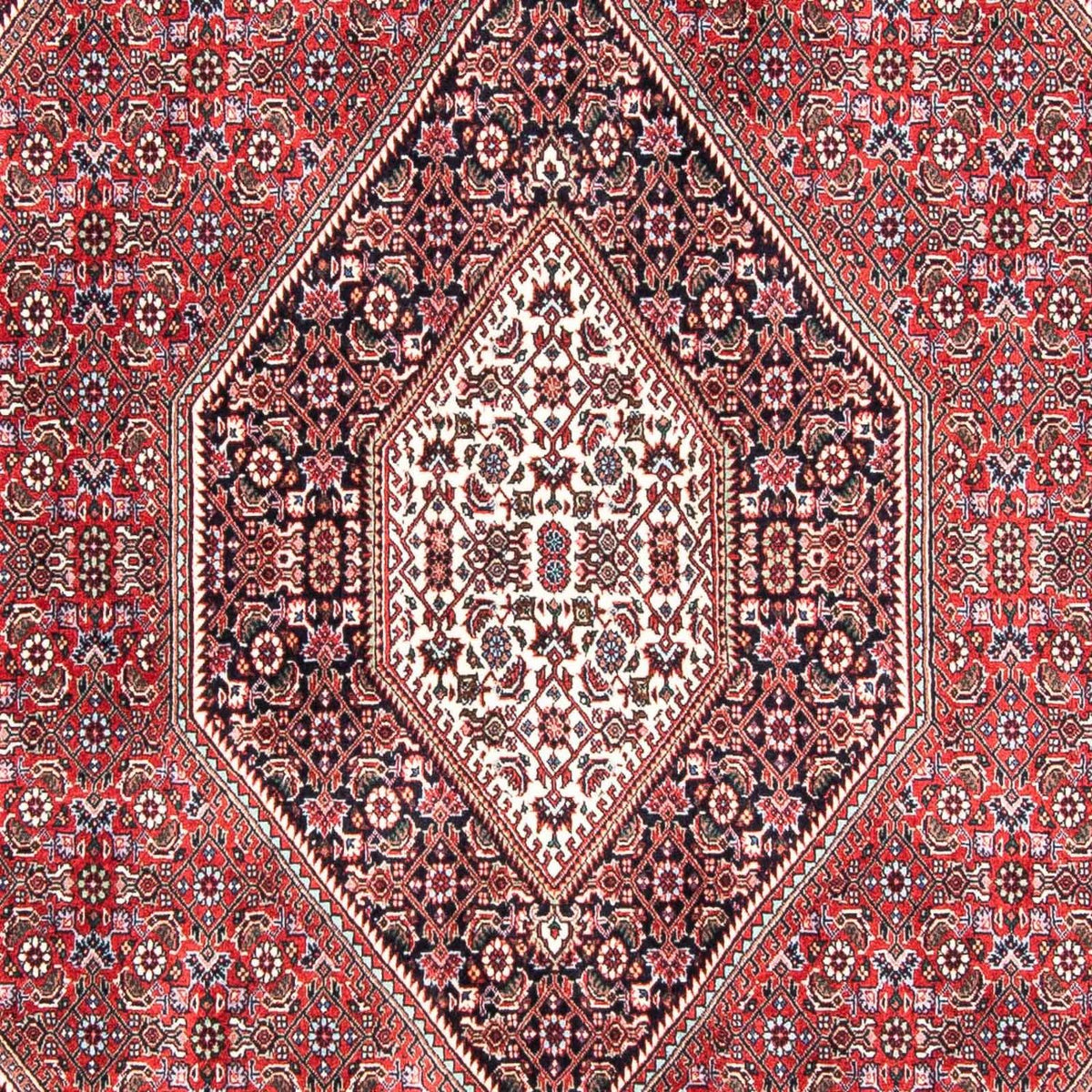 Tappeto Persero - Bidjar - 237 x 168 cm - rosso chiaro