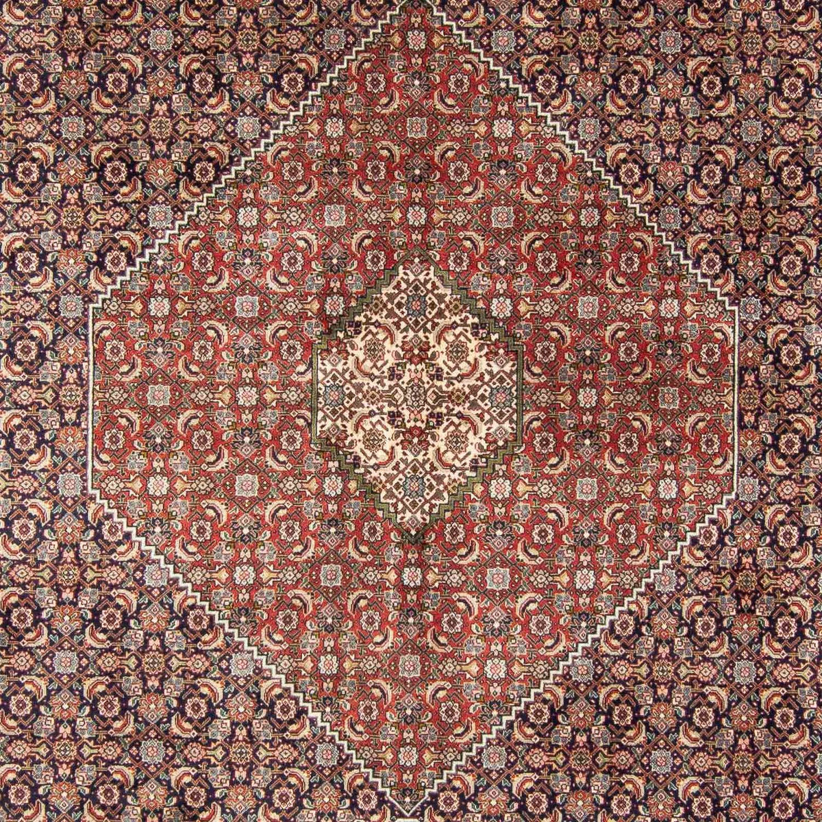 Tappeto Persero - Tabriz - 343 x 247 cm - multicolore