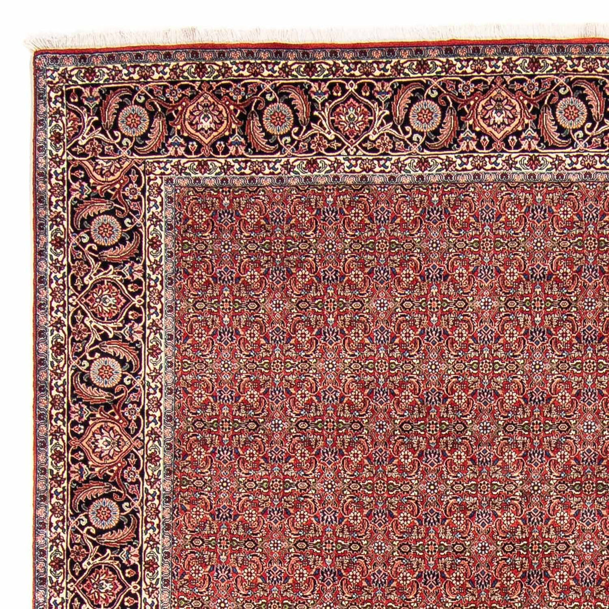 Tappeto Persero - Bidjar - 300 x 252 cm - rosso scuro