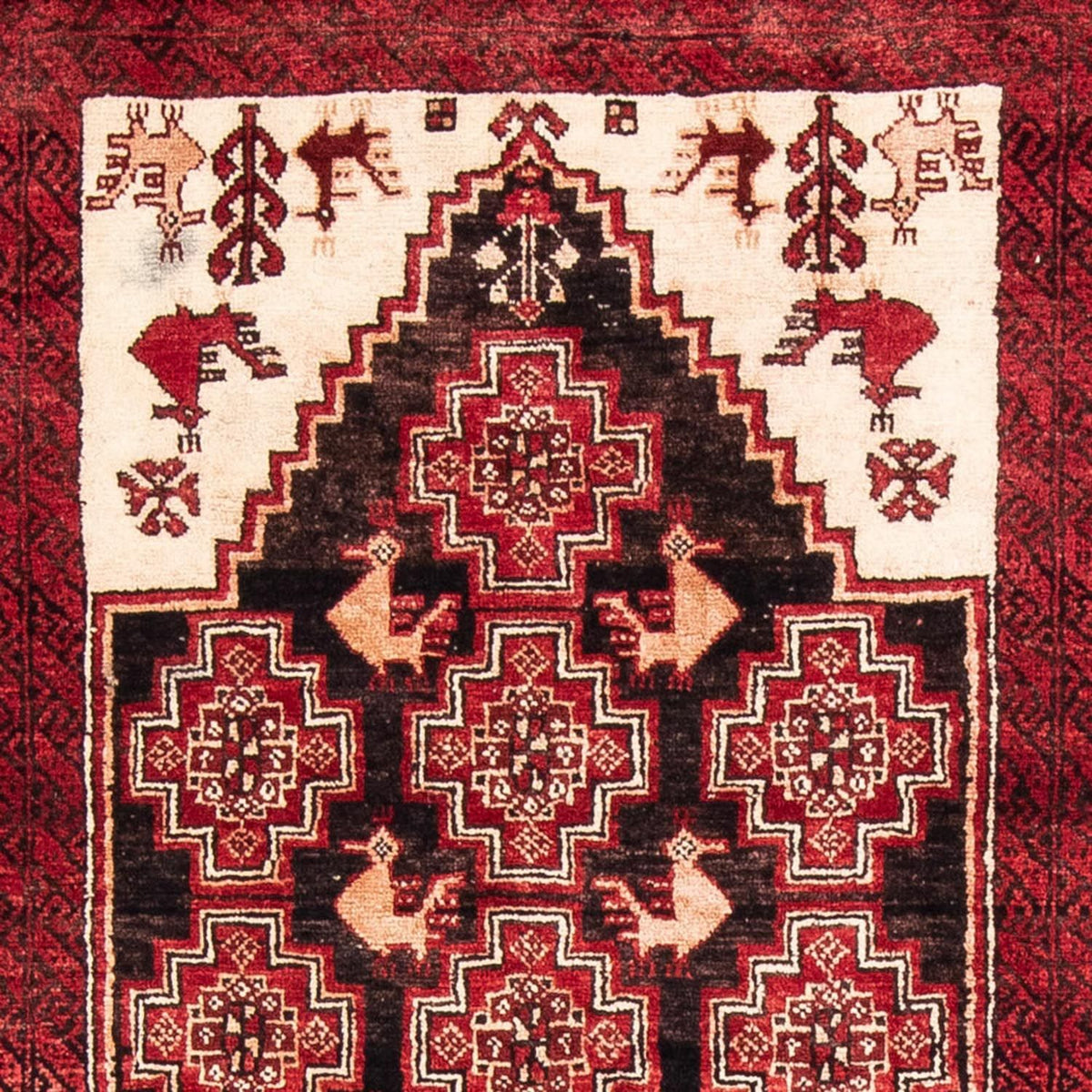 Tappeto corsia Tappeto Belutsch - 202 x 100 cm - rosso