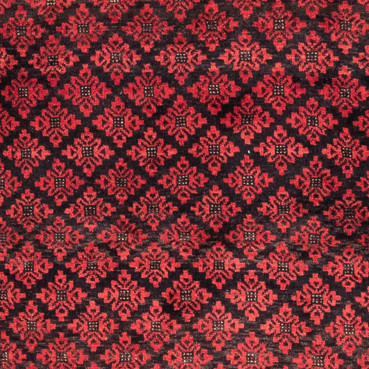 Tappeto corsia Tappeto Belutsch - 181 x 100 cm - rosso
