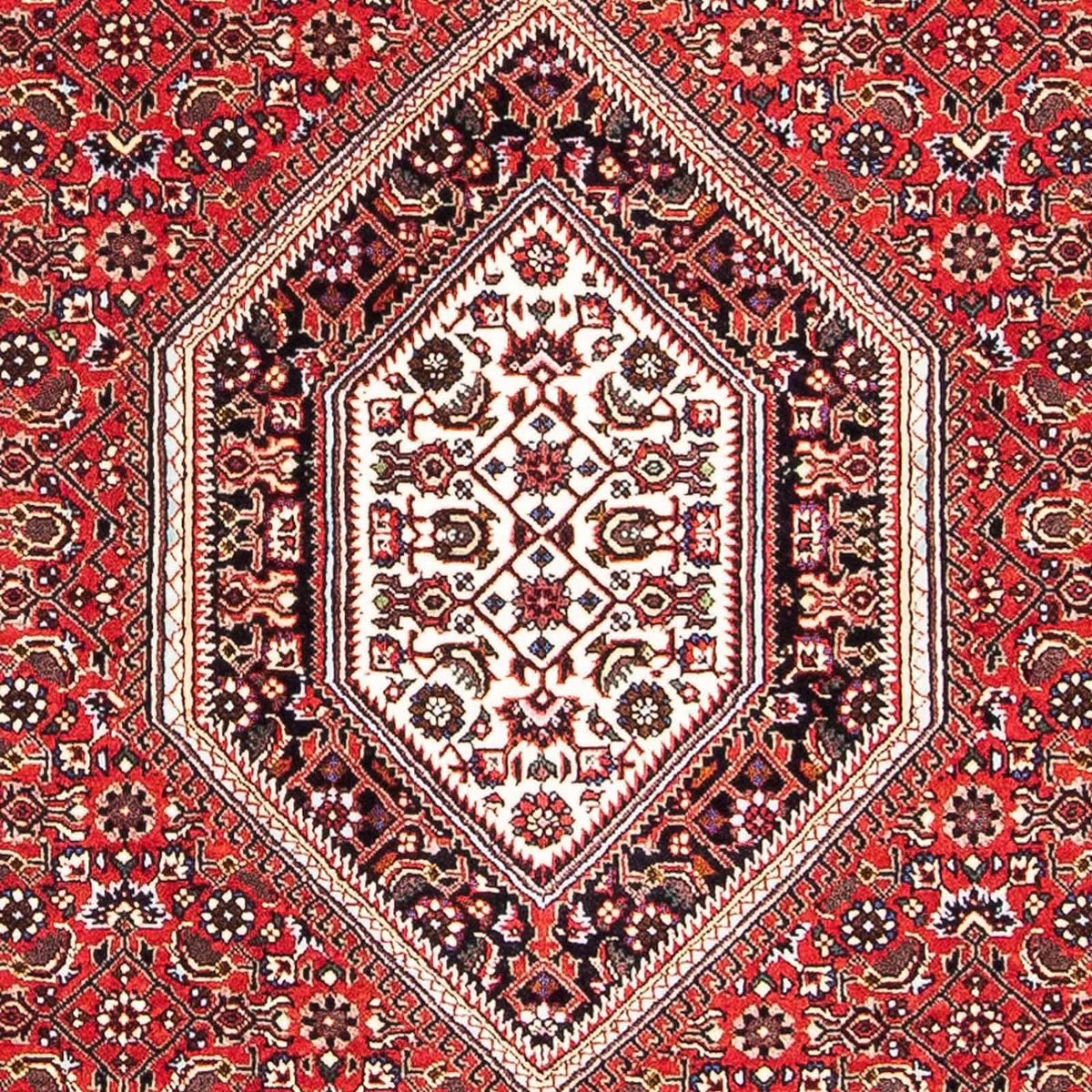 Tappeto Persero - Bidjar - 167 x 108 cm - rosso