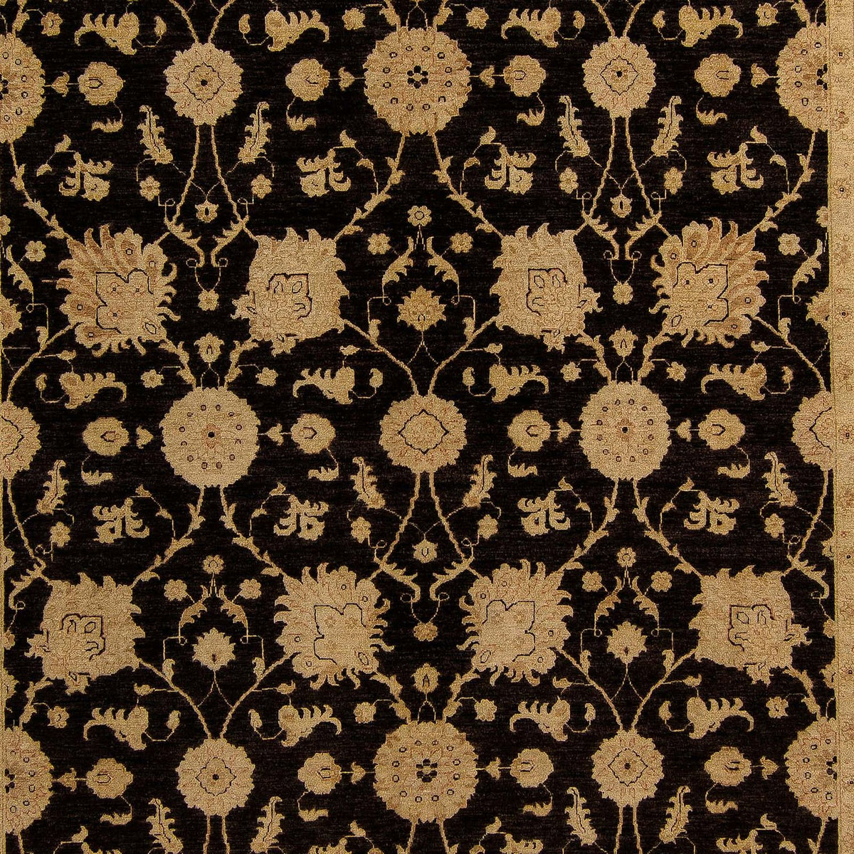 Tappeto Ziegler - 405 x 295 cm - marrone