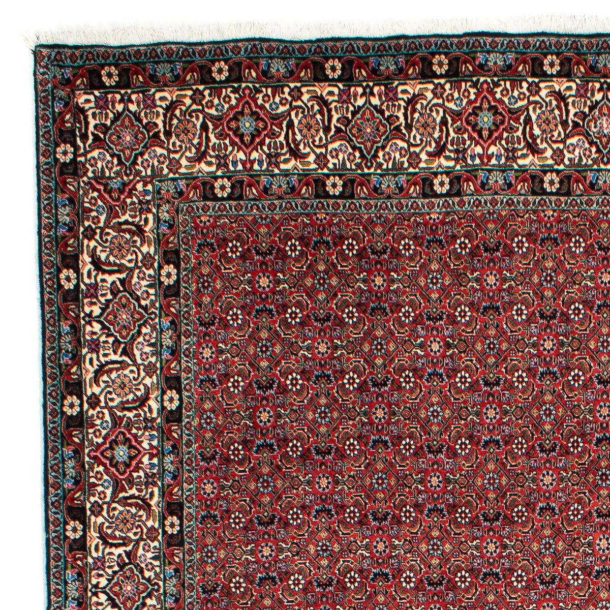 Tappeto Persero - Bidjar - 299 x 203 cm - rosso chiaro