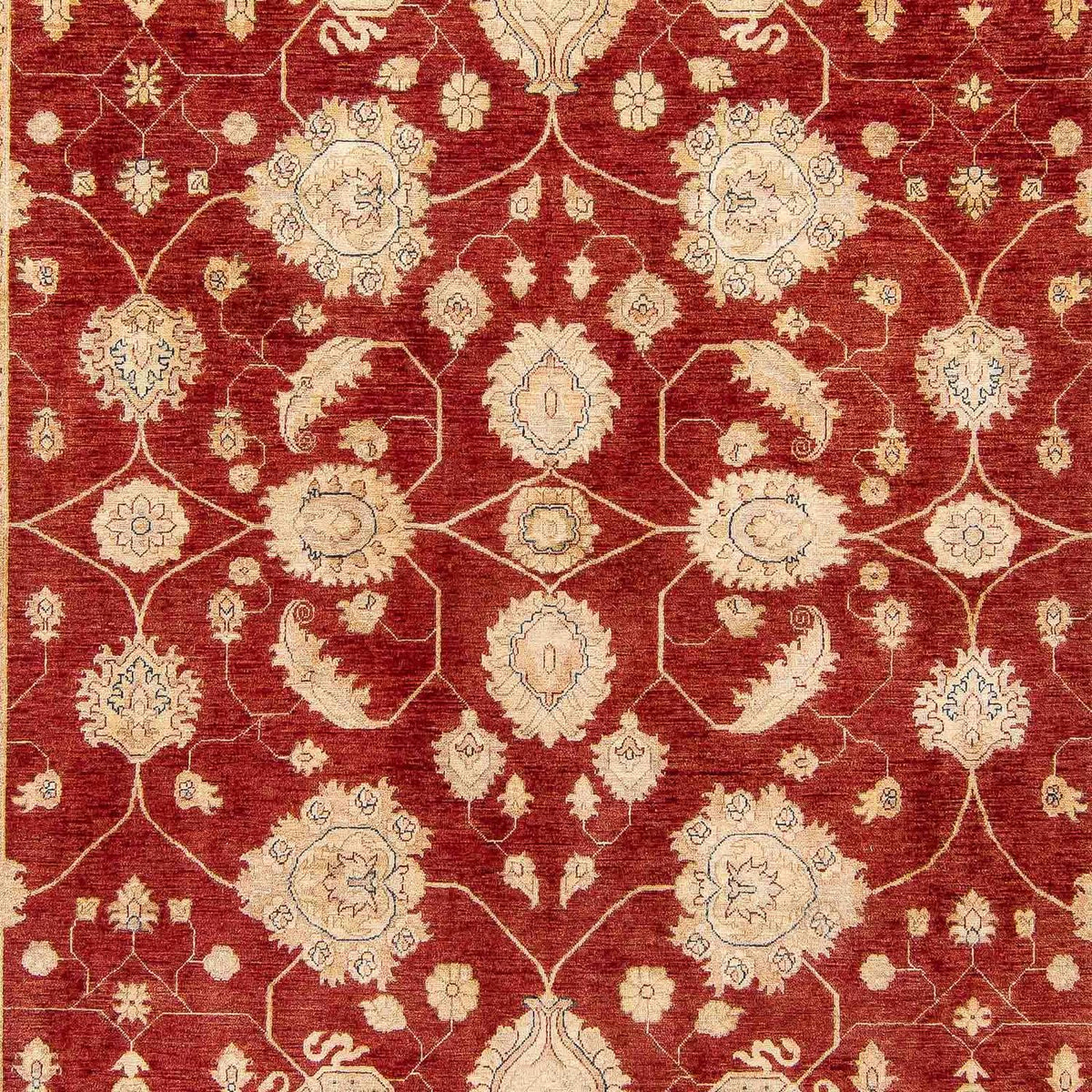 Tappeto Ziegler - 390 x 295 cm - rosso scuro