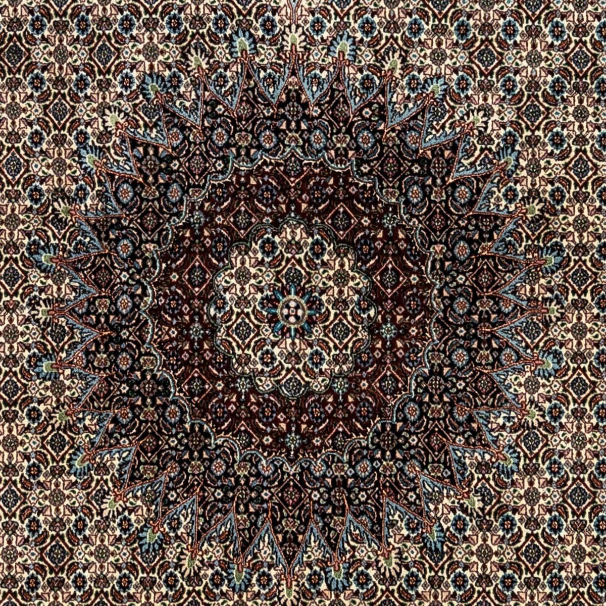 Tappeto Persero - Classico - 346 x 245 cm - beige