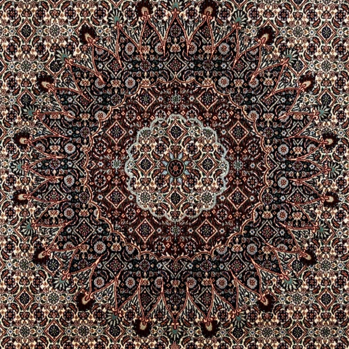 Tappeto Persero - Classico - 360 x 251 cm - beige