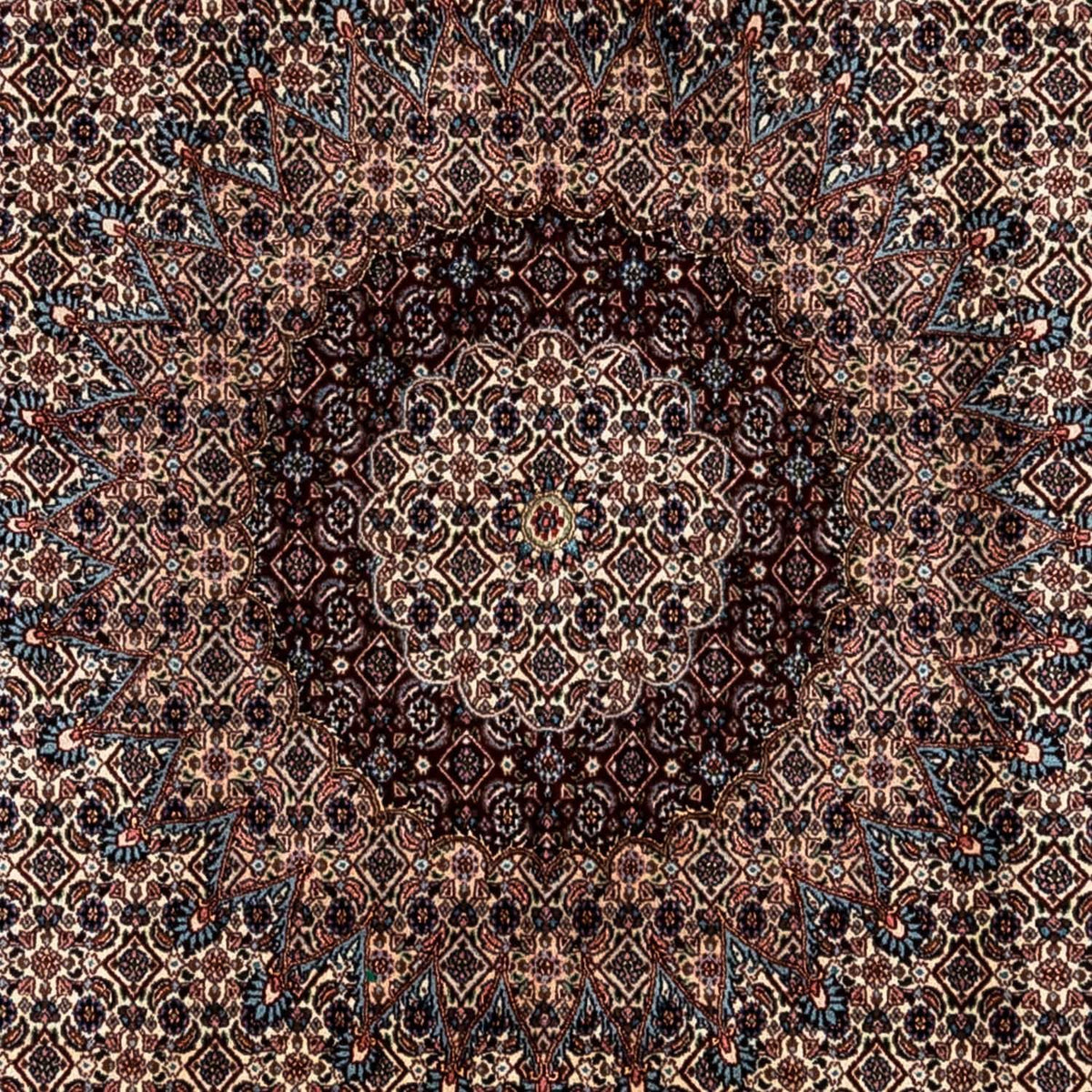 Tappeto Persero - Classico - 348 x 247 cm - beige