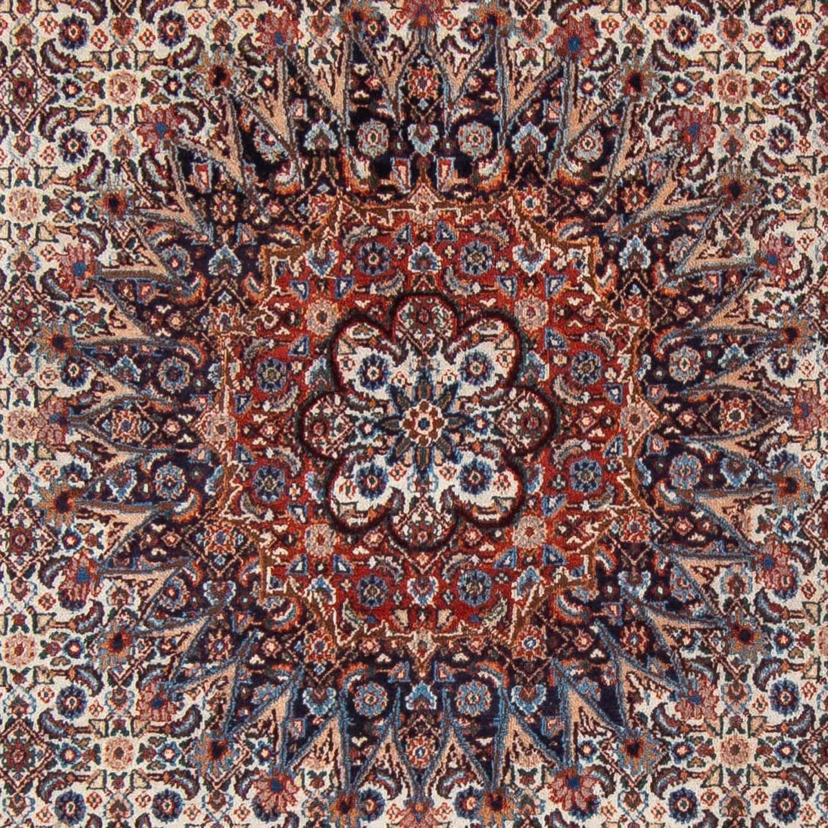 Tappeto Persero - Classico - 298 x 206 cm - blu scuro