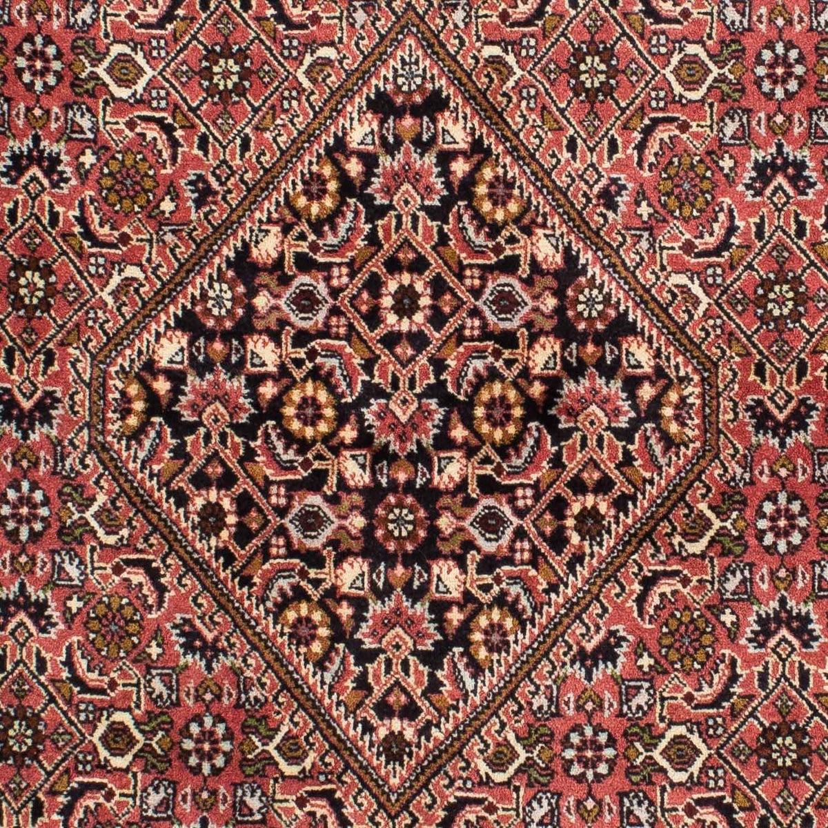 Tappeto Persero - Bidjar - 227 x 137 cm - rosso