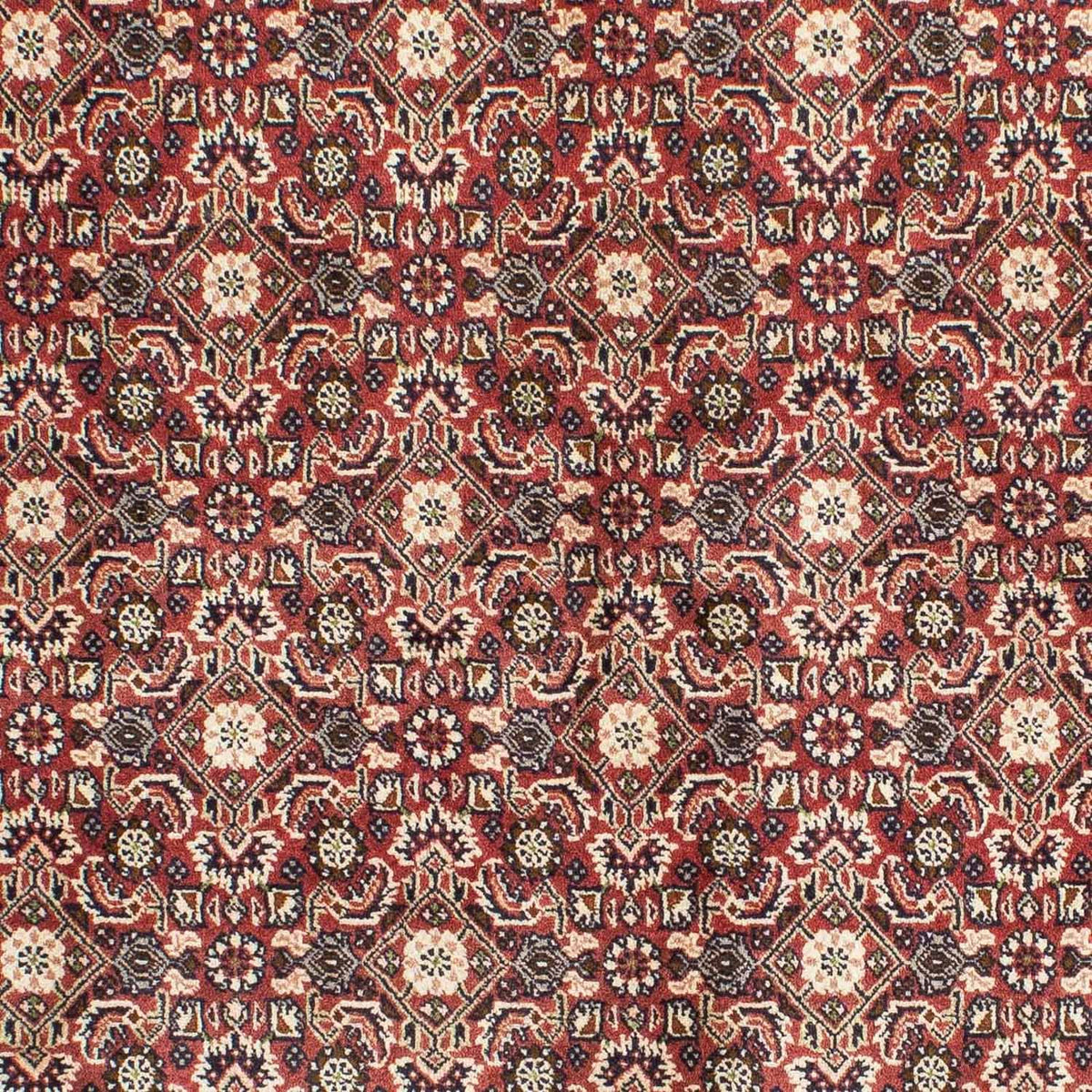 Tappeto Persero - Bidjar - 208 x 137 cm - rosso