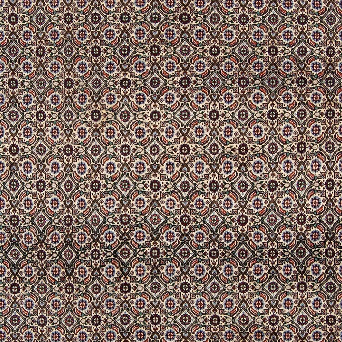 Tappeto Persero - Classico - 294 x 197 cm - beige