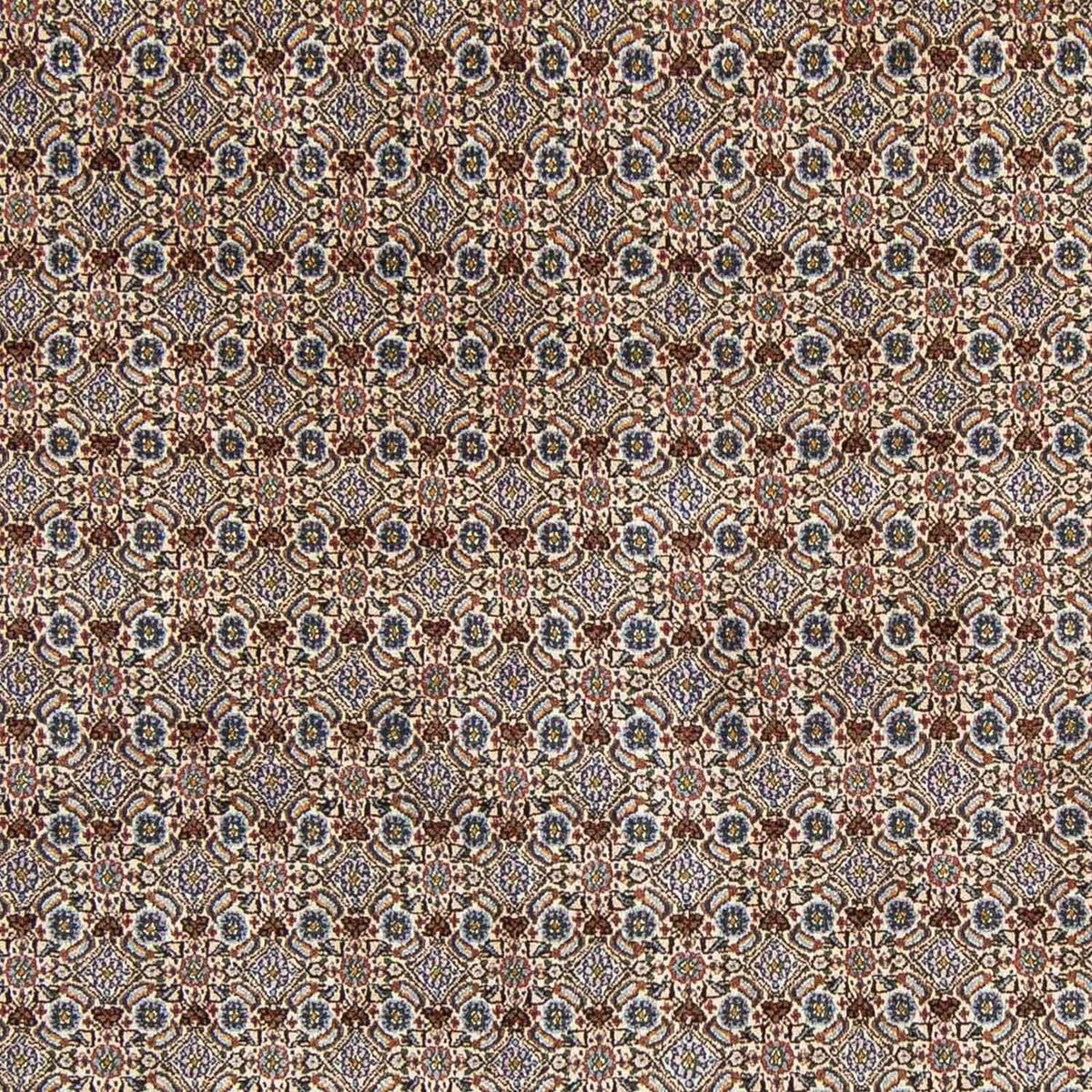 Tappeto Persero - Classico - 303 x 198 cm - beige