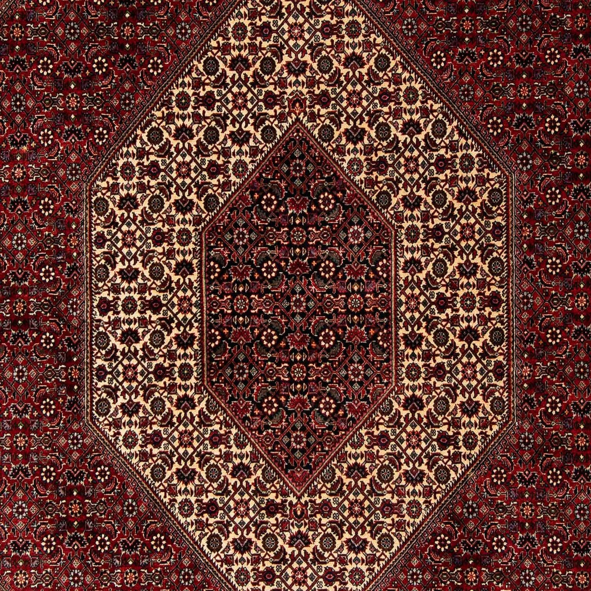 Tappeto Persero - Bidjar - 251 x 201 cm - rosso scuro