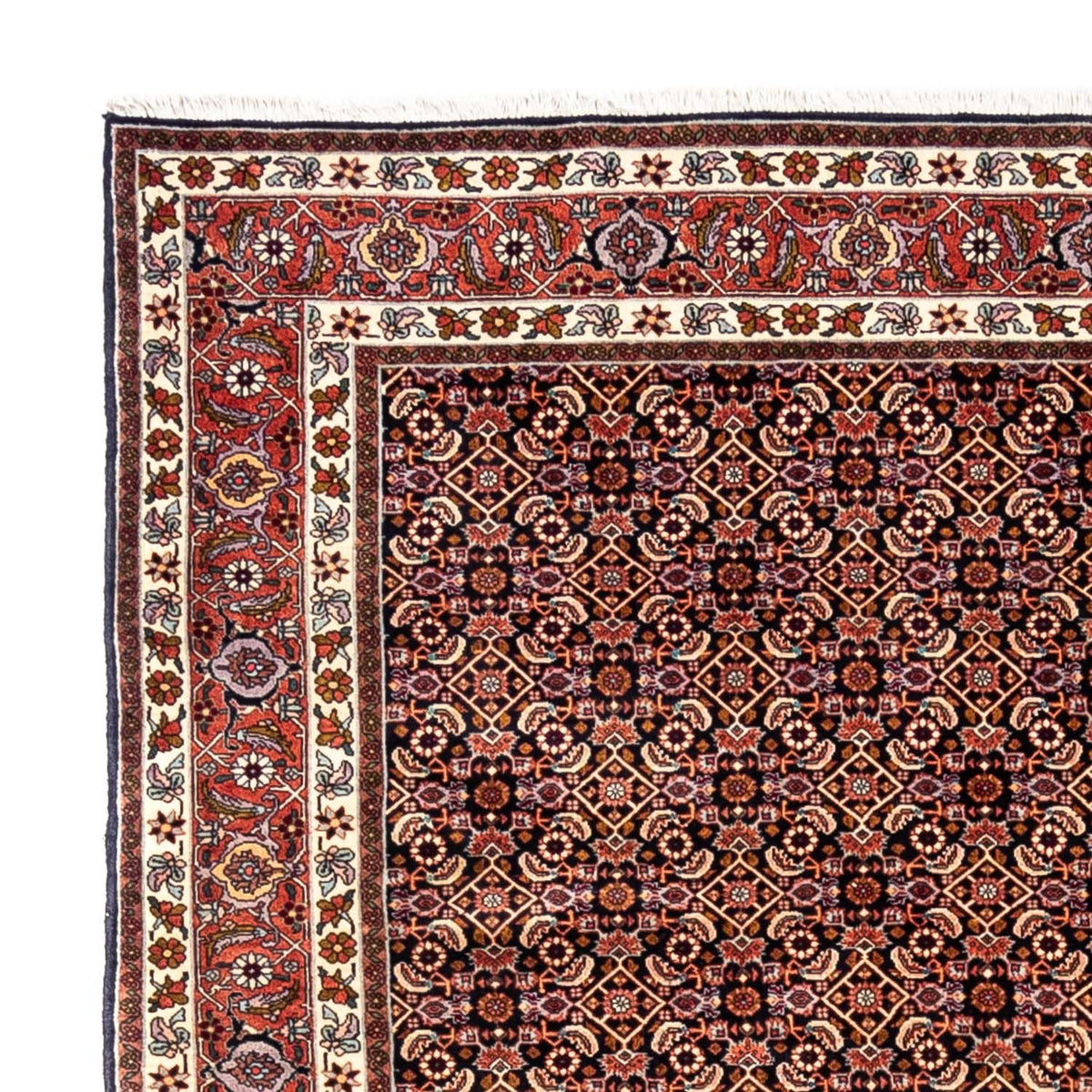 Tappeto Persero - Bidjar - 298 x 202 cm - nero