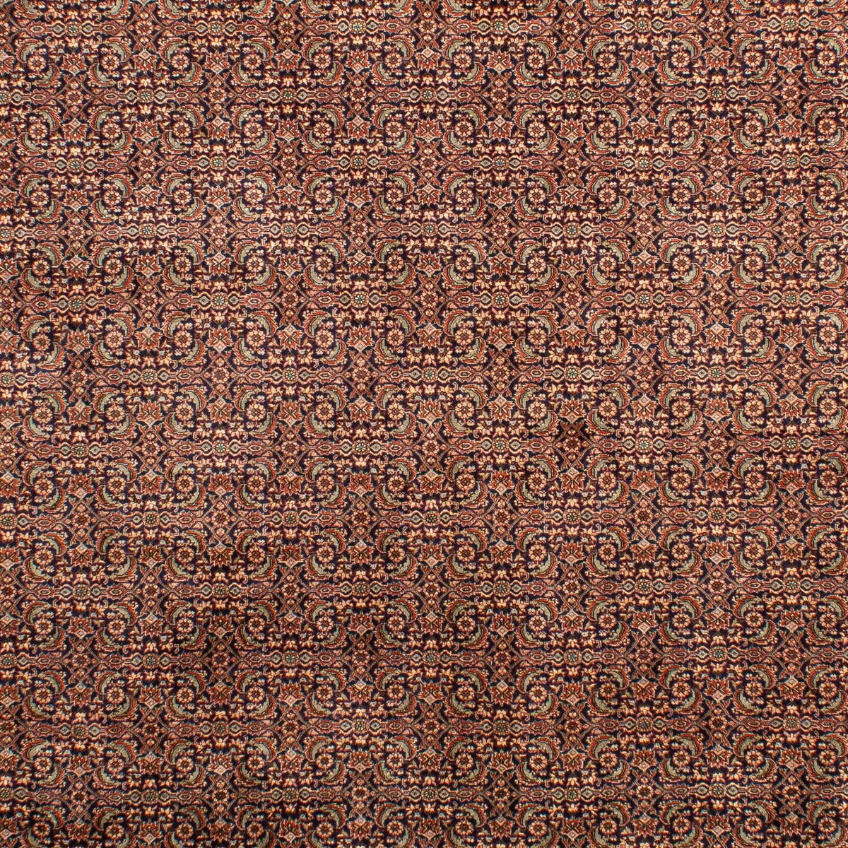 Tappeto Persero - Bidjar - 298 x 202 cm - multicolore