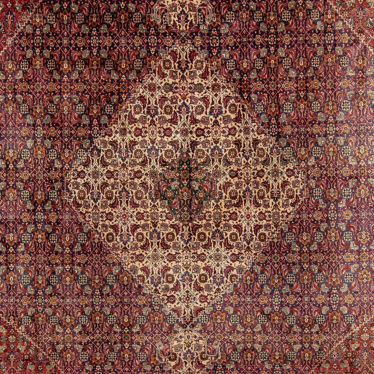 Tappeto Persero - Tabriz - 392 x 310 cm - multicolore