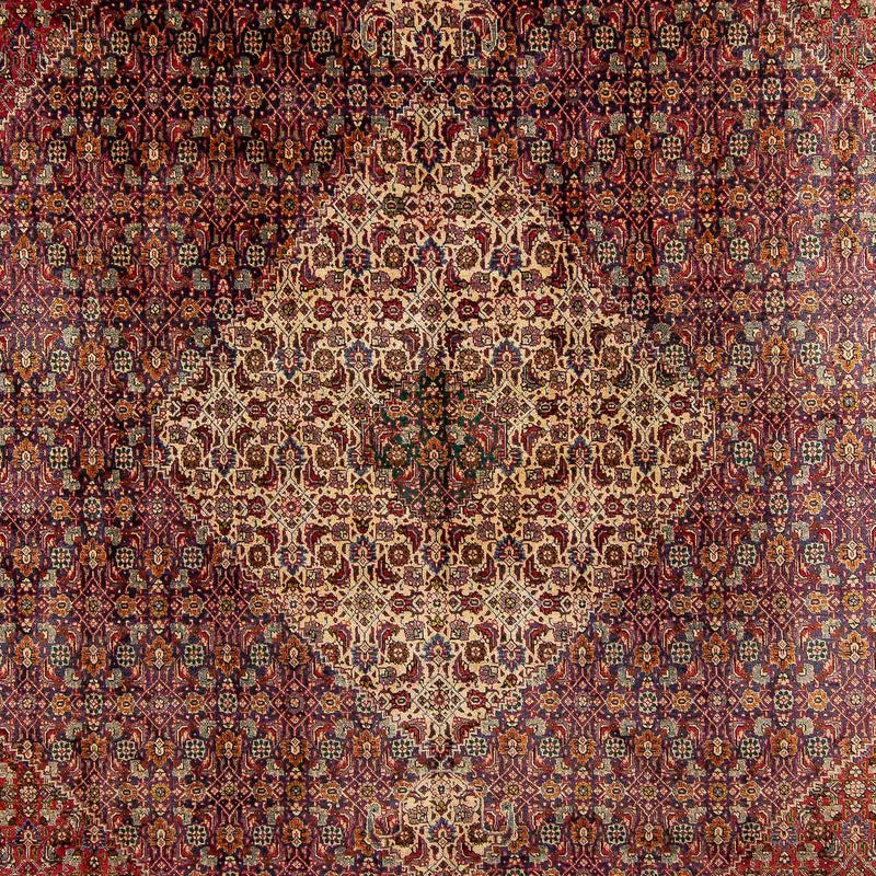 Tappeto Persero - Tabriz - 392 x 310 cm - multicolore
