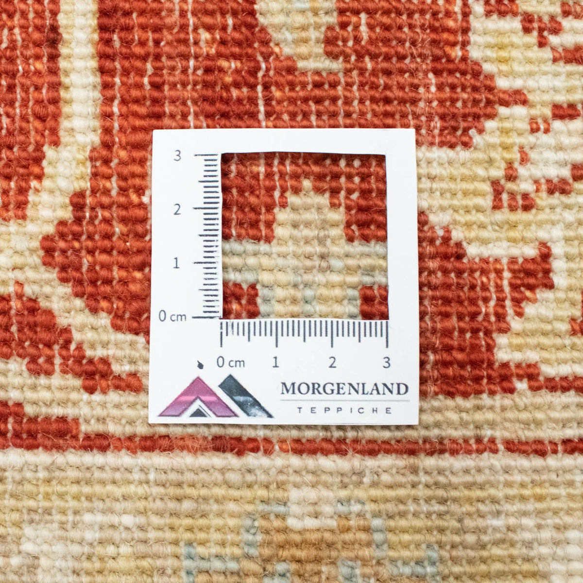 Tappeto Ziegler - 200 x 150 cm - beige