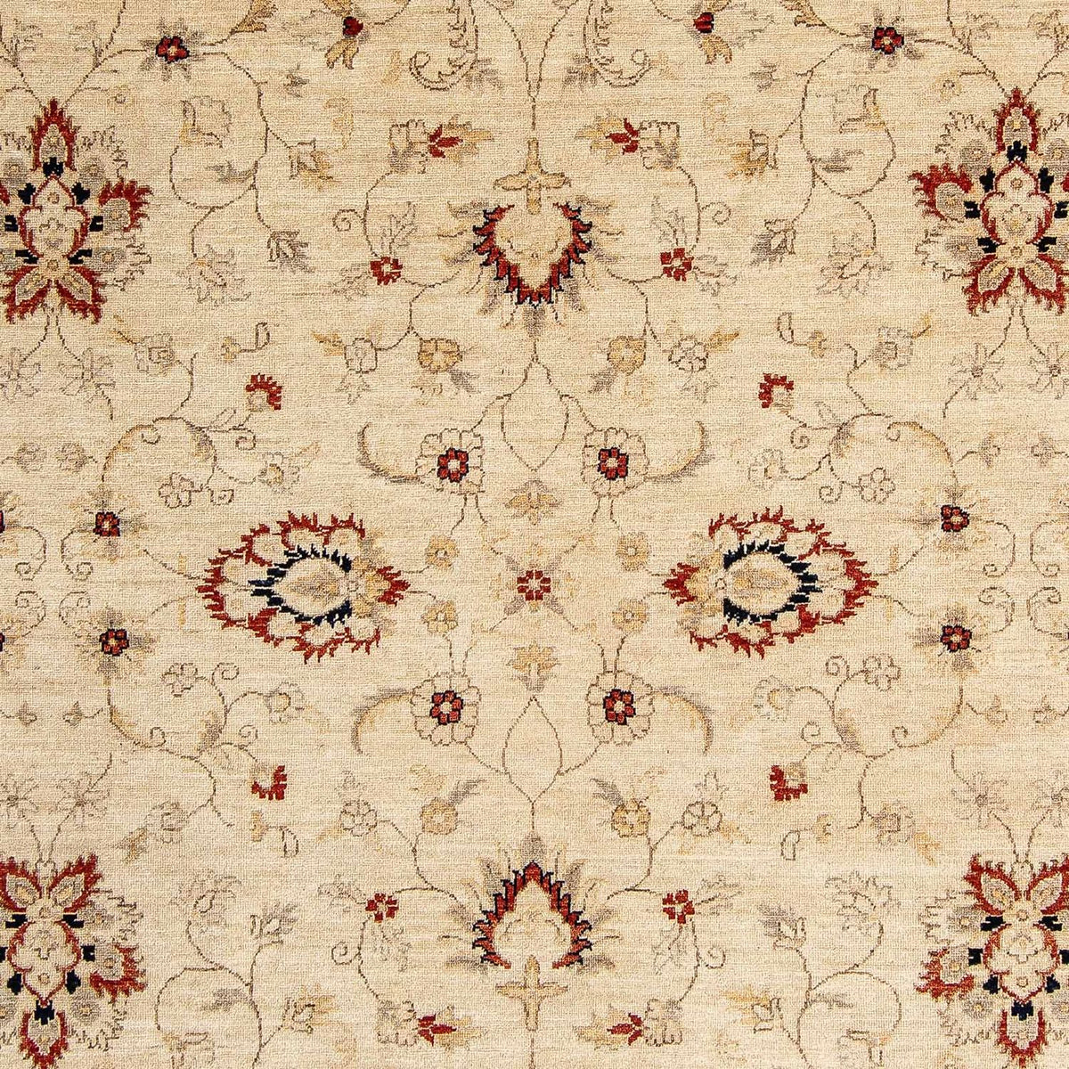 Tappeto Ziegler - 297 x 246 cm - beige