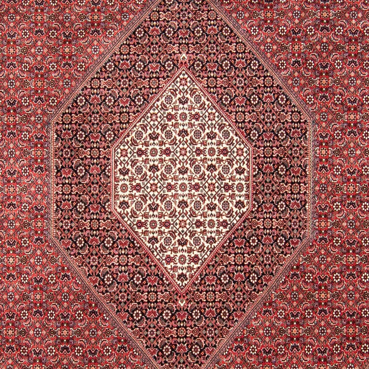 Tappeto Persero - Bidjar - 310 x 250 cm - rosso