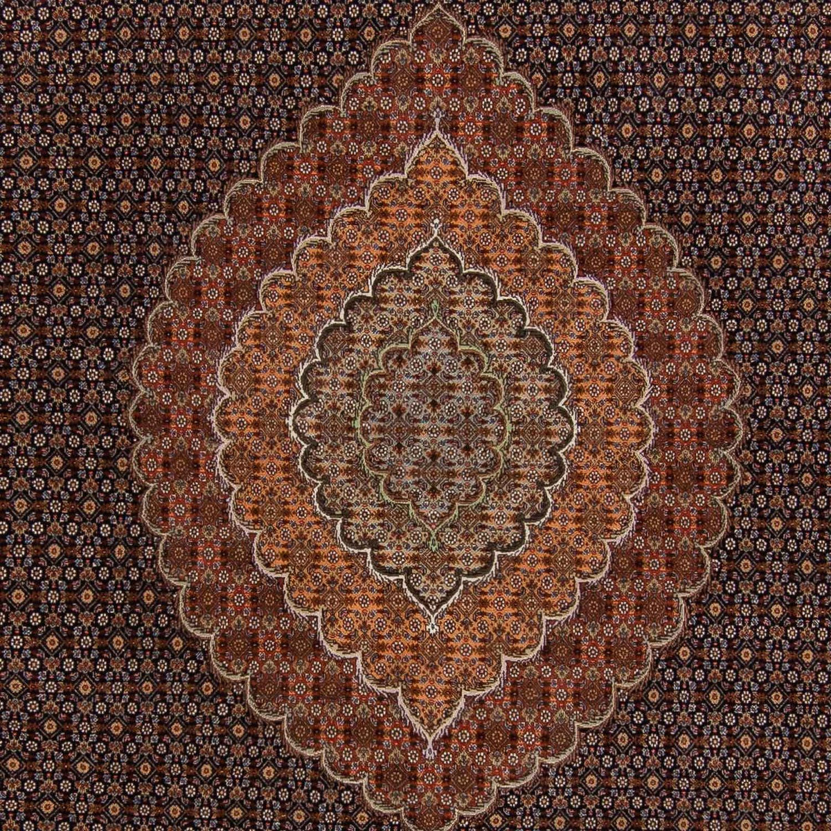 Tappeto Persero - Tabriz - 359 x 252 cm - marrone