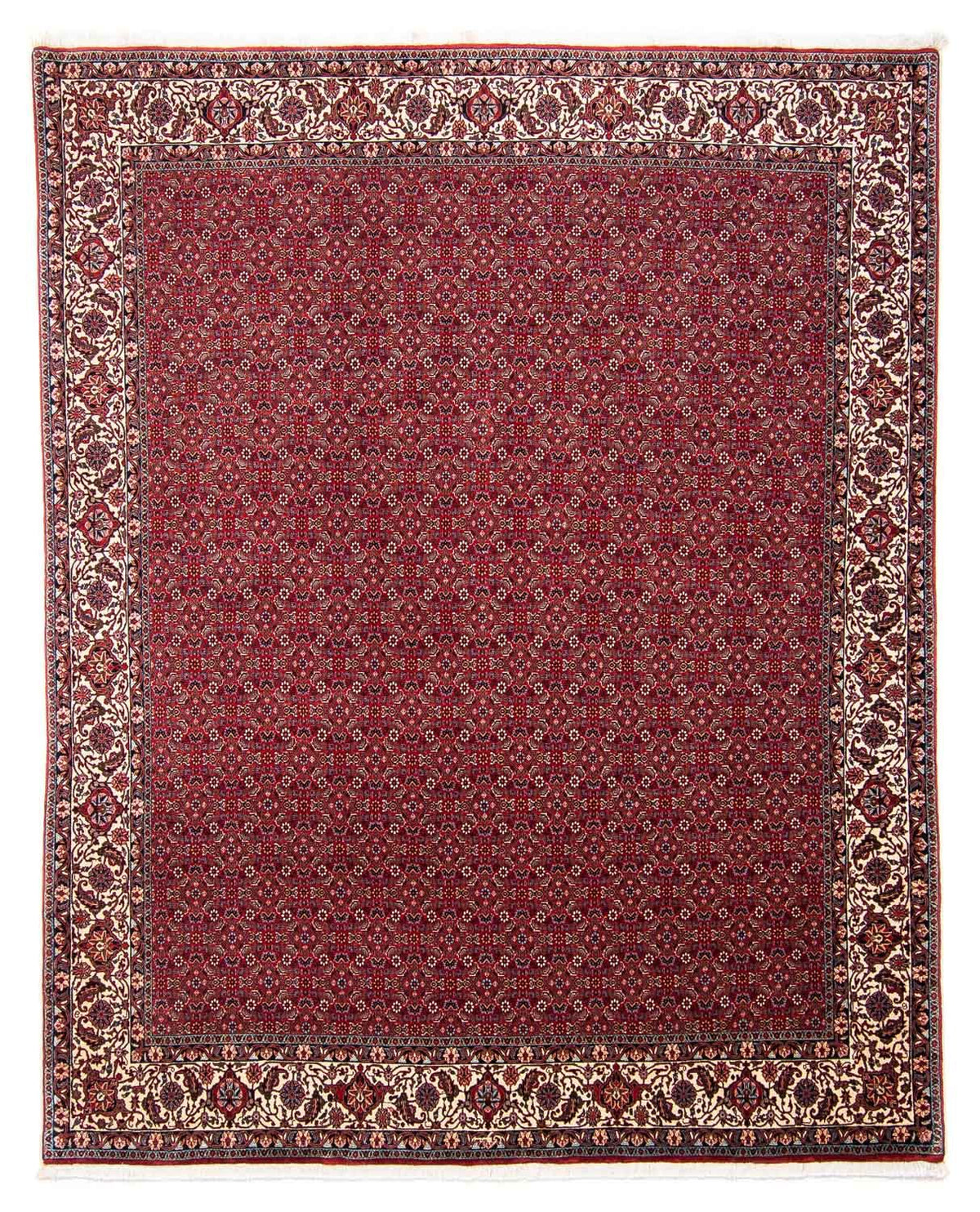 Tappeto Persero - Bidjar - 297 x 247 cm - rosso