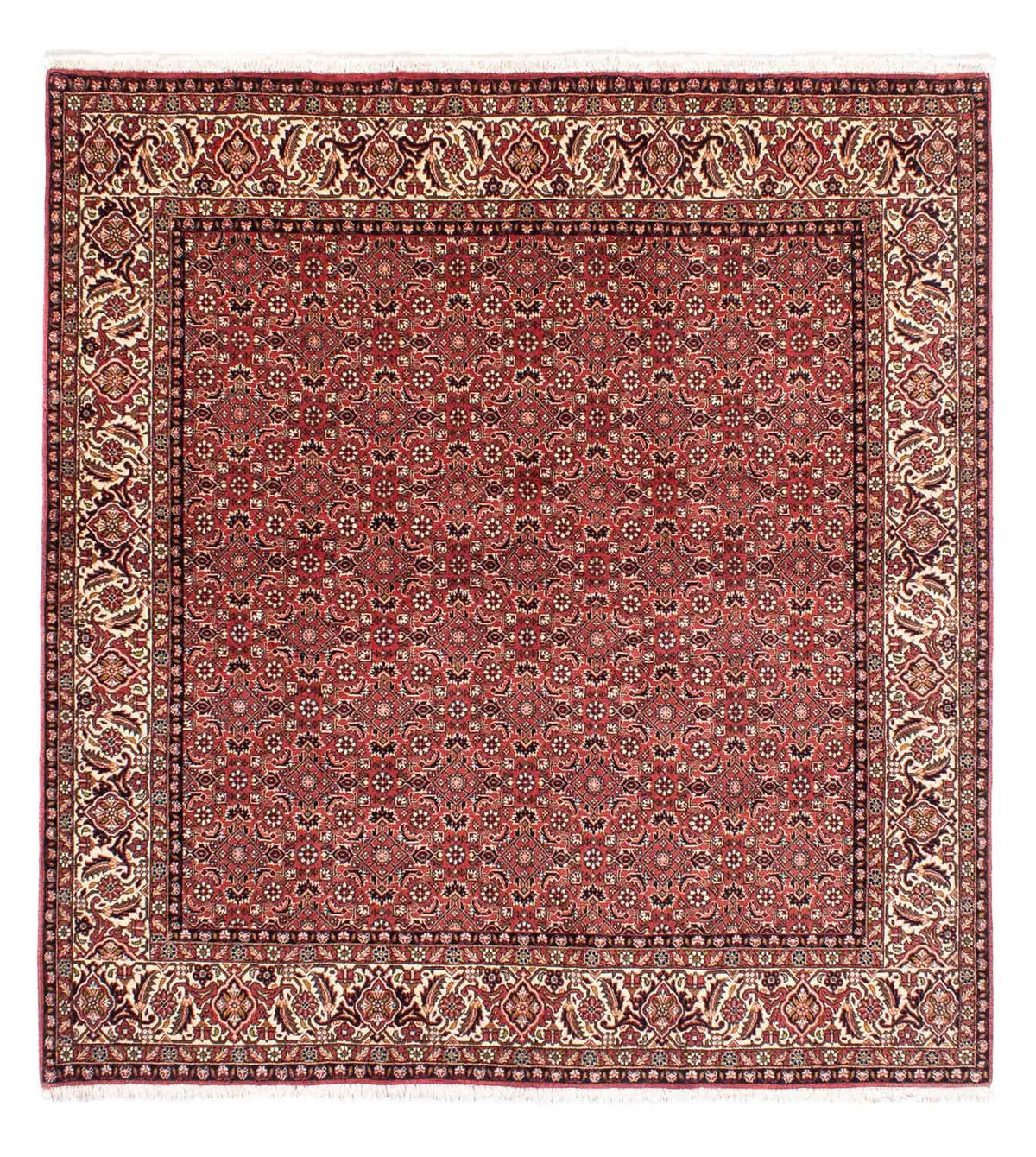 Tappeto Persero - Bidjar quadrato - 208 x 200 cm - rosso chiaro