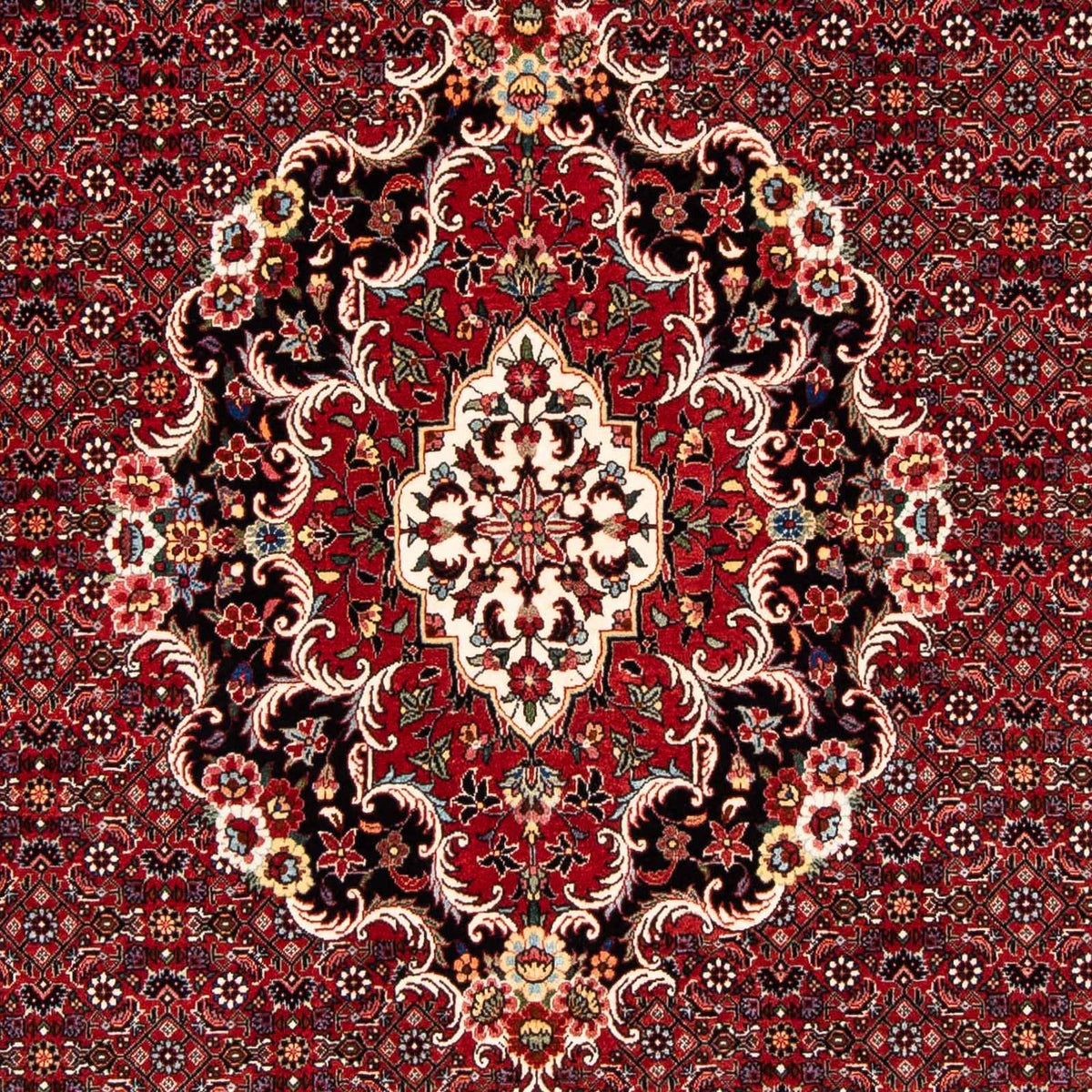 Tappeto Persero - Bidjar - 229 x 172 cm - rosso scuro