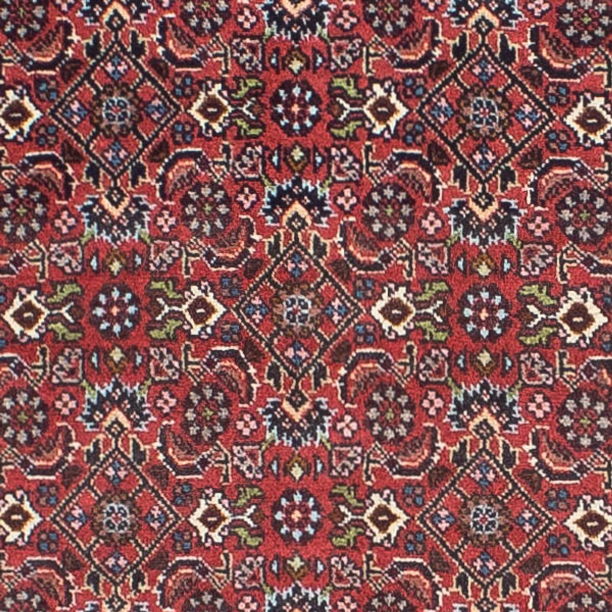 Tappeto corsia Tappeto Persero - Bidjar - 243 x 68 cm - rosso chiaro