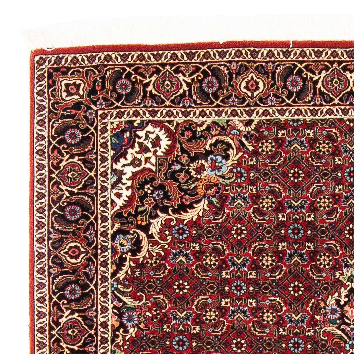 Tappeto Persero - Bidjar - 165 x 110 cm - rosso scuro