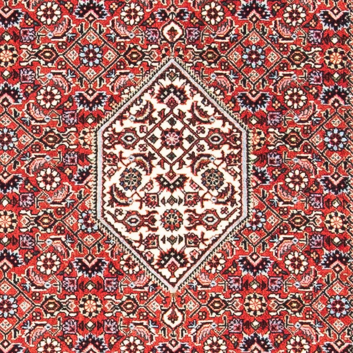 Tappeto Persero - Bidjar - 140 x 83 cm - rosso
