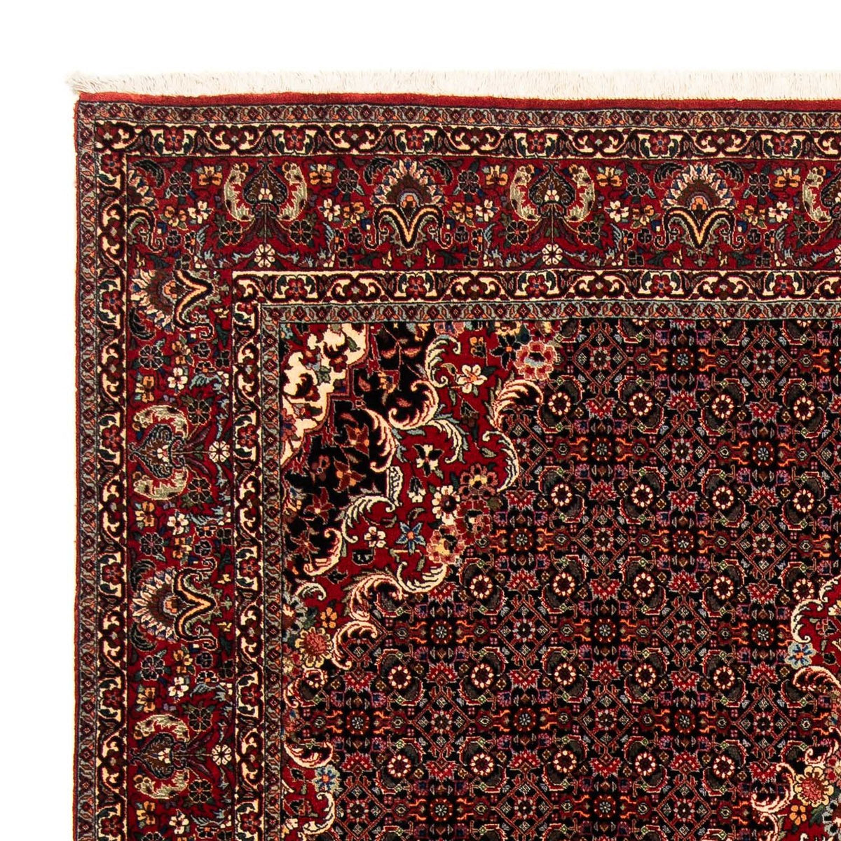 Tappeto Persero - Bidjar - 252 x 200 cm - rosso scuro