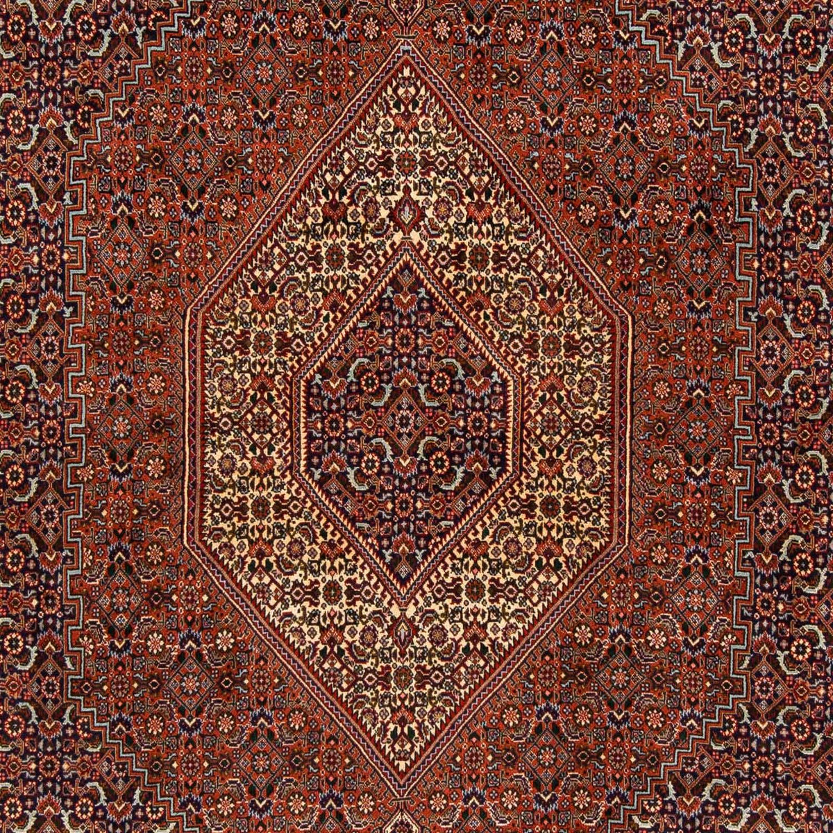 Tappeto Persero - Bidjar - 222 x 203 cm - marrone