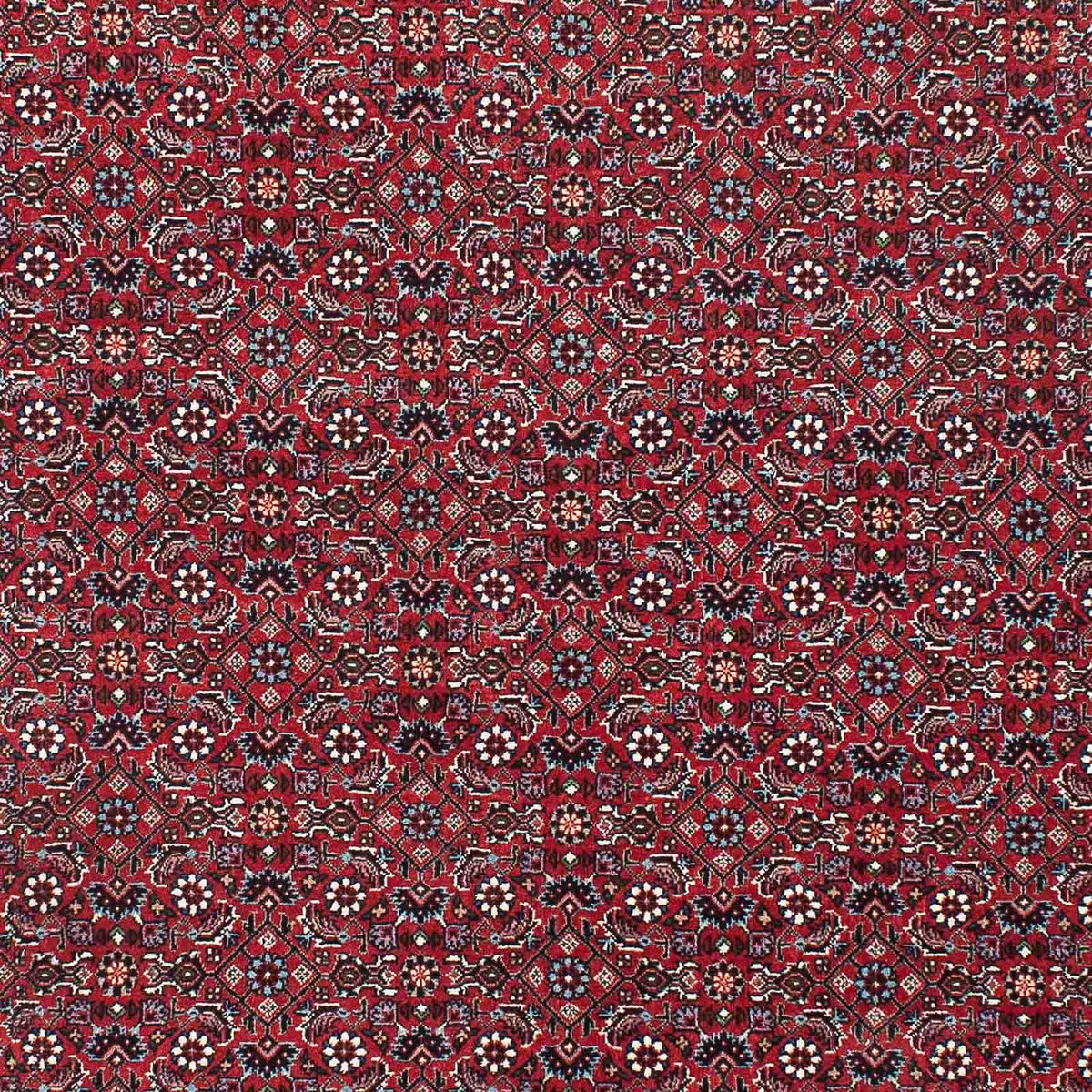 Tappeto Persero - Bidjar - 209 x 132 cm - rosso