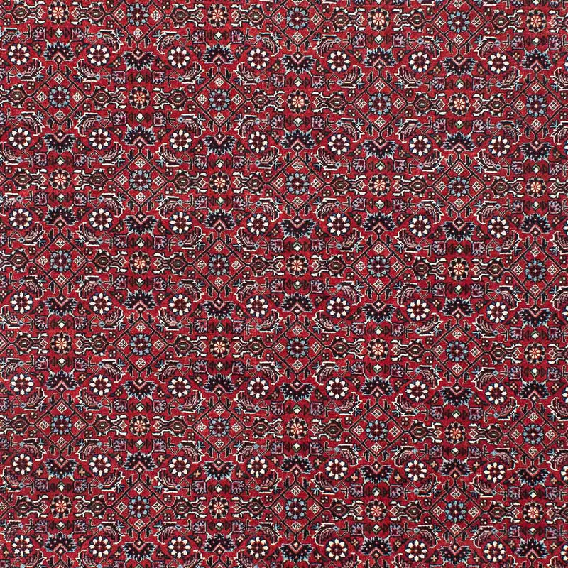 Tappeto Persero - Bidjar - 209 x 132 cm - rosso