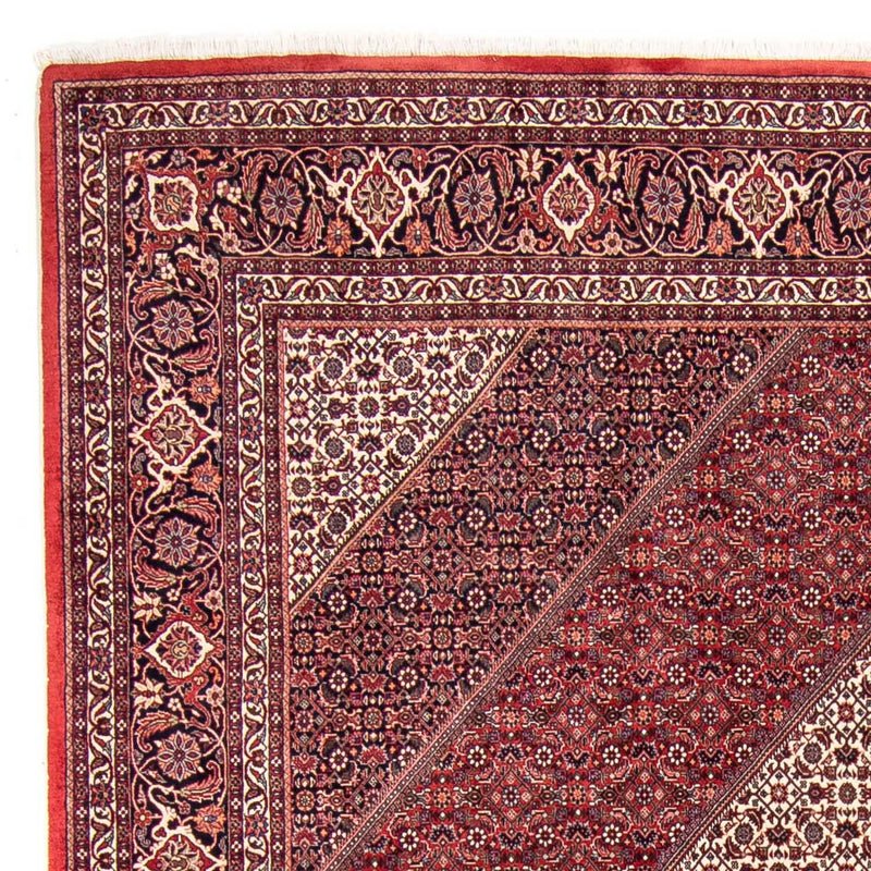 Tappeto Persero - Bidjar - 314 x 253 cm - rosso scuro
