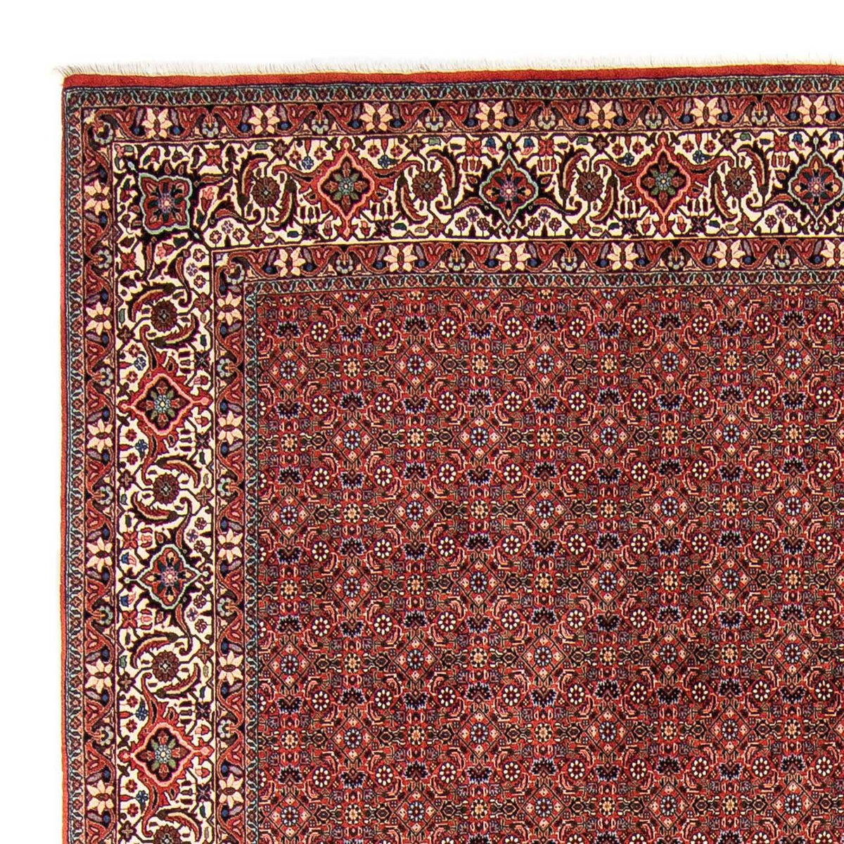 Tappeto Persero - Bidjar - 308 x 254 cm - rosso scuro