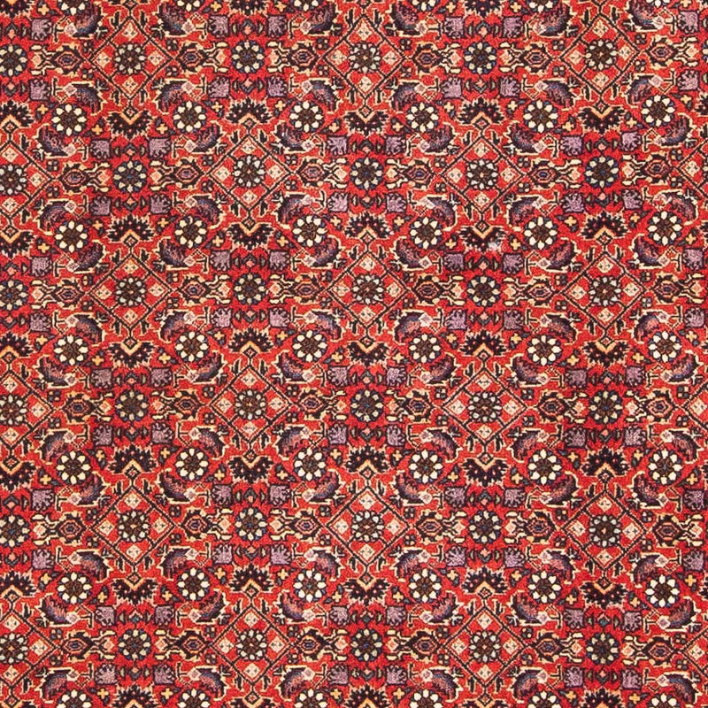 Tappeto Persero - Bidjar - 183 x 114 cm - rosso