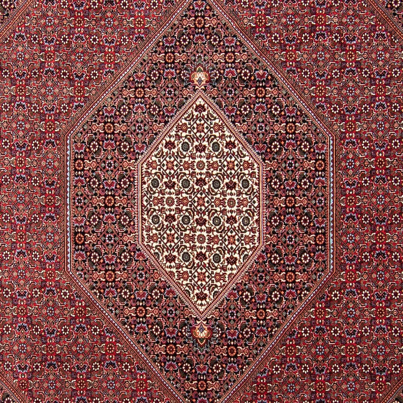 Tappeto Persero - Bidjar - 298 x 258 cm - rosso