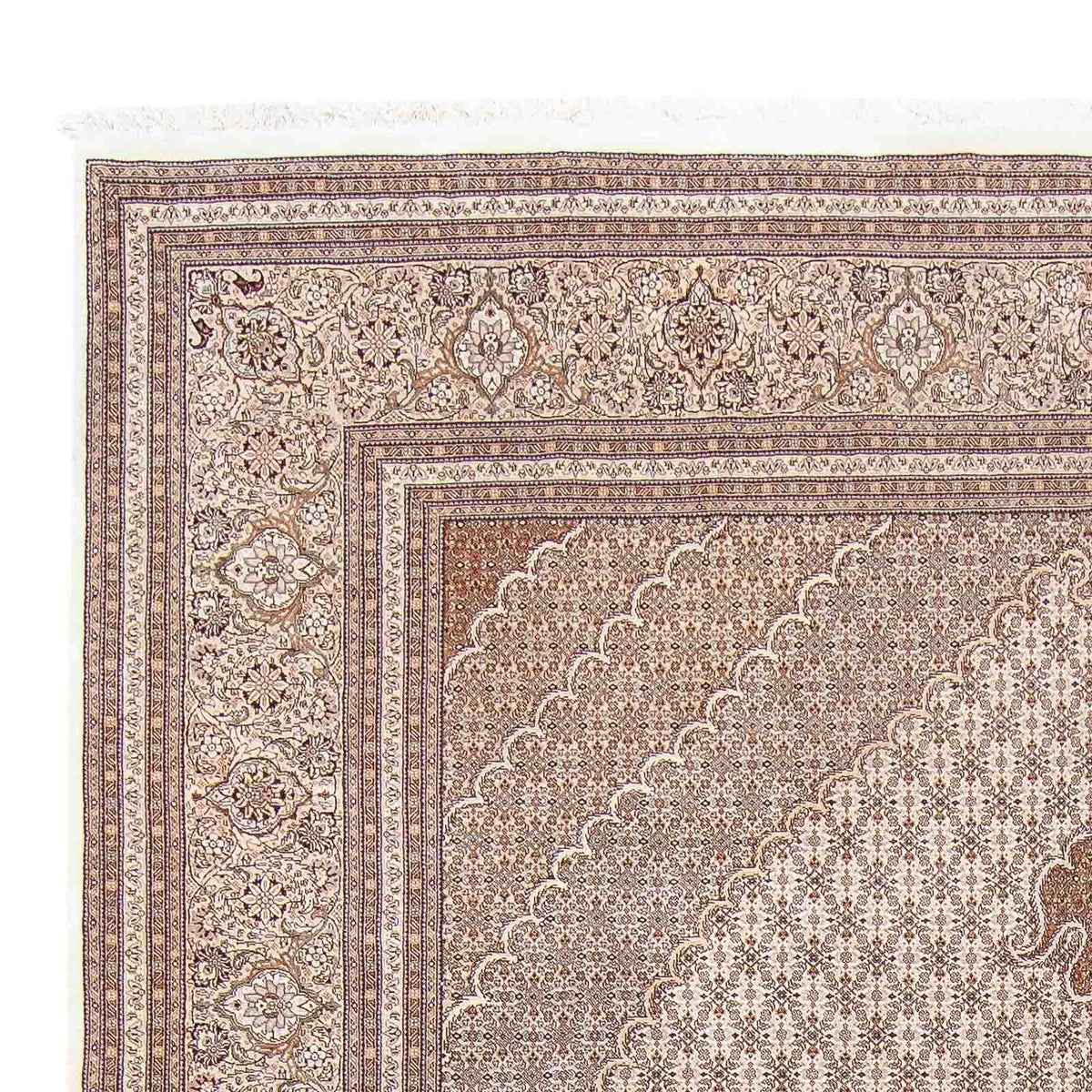 Tappeto Persero - Tabriz - 355 x 248 cm - marrone chiaro