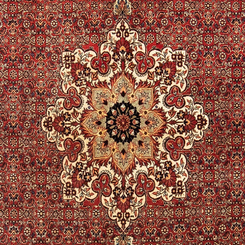 Tappeto Persero - Bidjar - 232 x 170 cm - rosso scuro