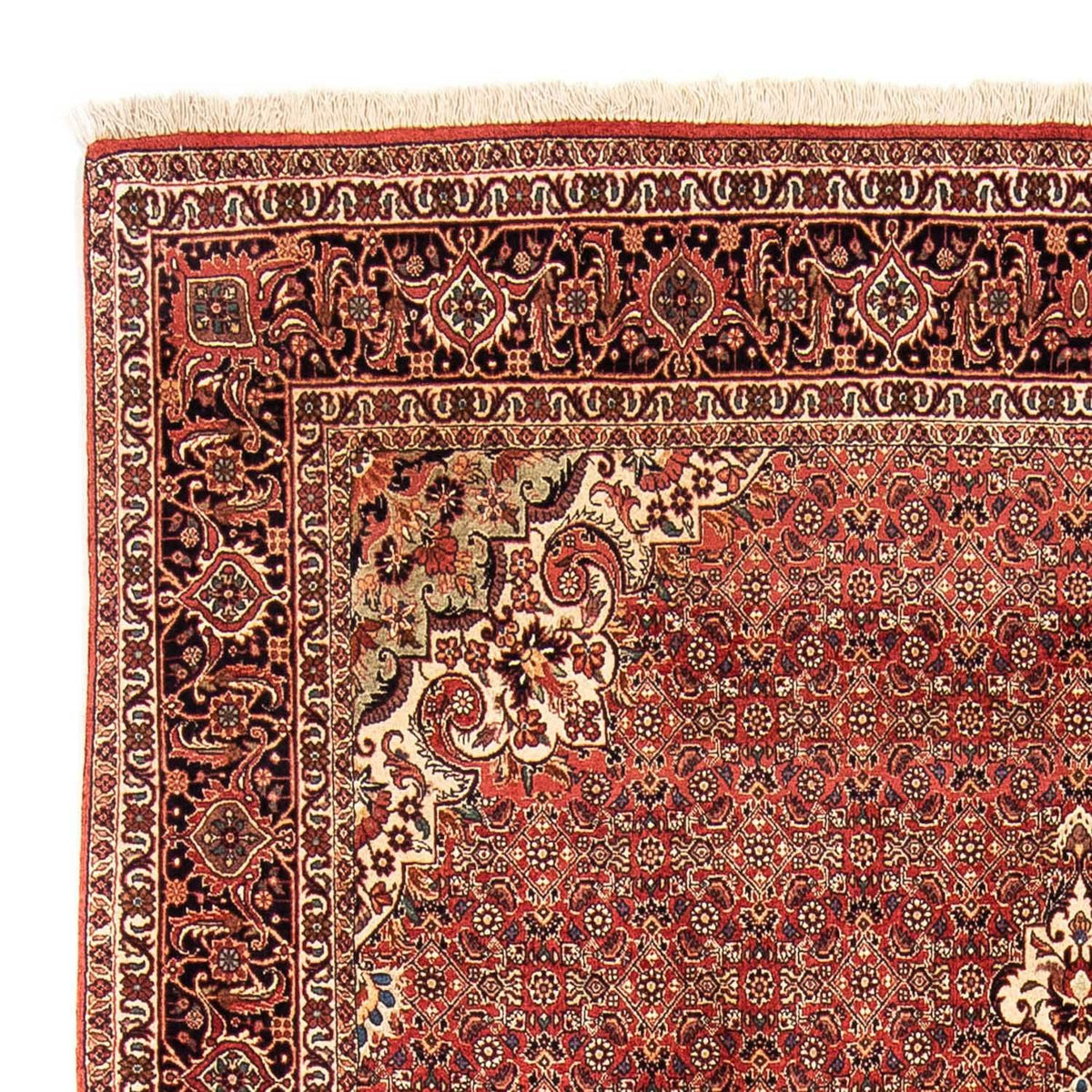 Tappeto Persero - Bidjar - 232 x 170 cm - rosso scuro