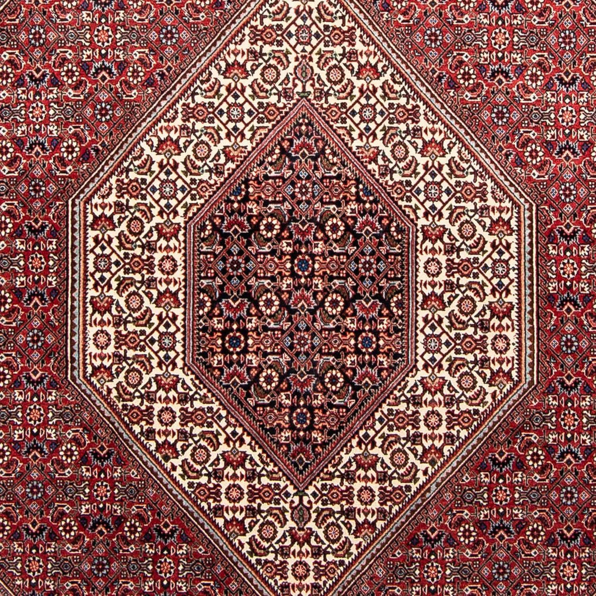 Tappeto Persero - Bidjar - 232 x 170 cm - rosso