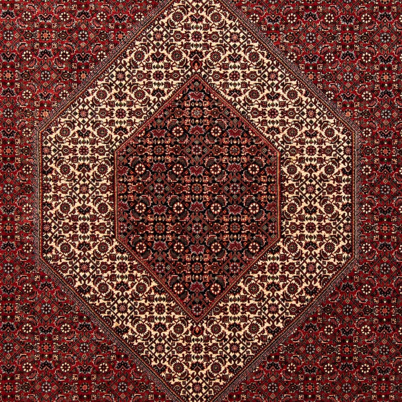 Tappeto Persero - Bidjar - 253 x 202 cm - rosso scuro